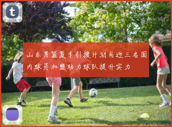 山东男篮夏季引援计划或迎三名国内球员加盟助力球队提升实力